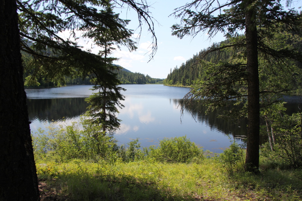 Harper Lake