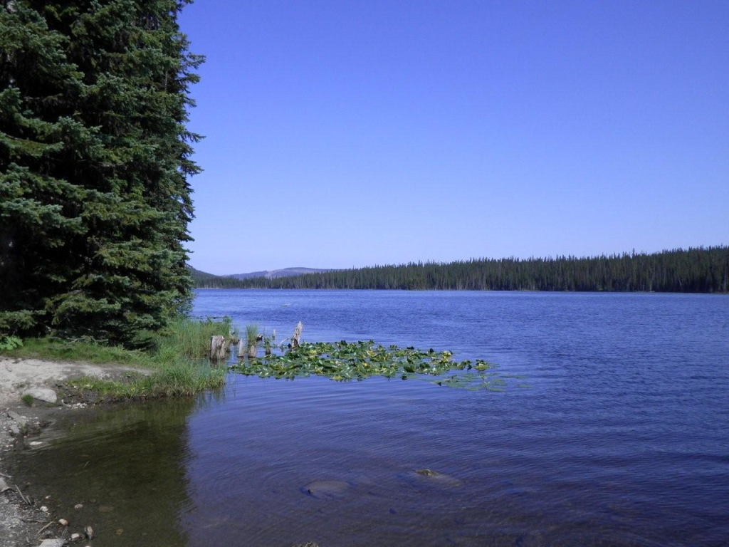 Bolean Lake