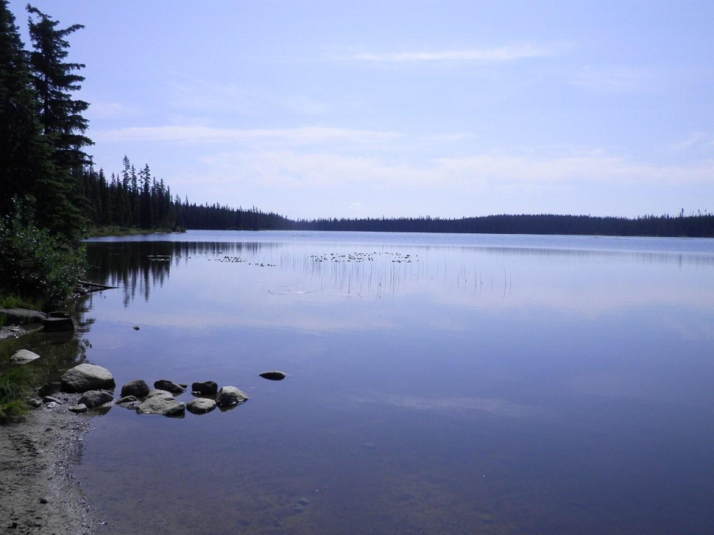 Arthur Lake North