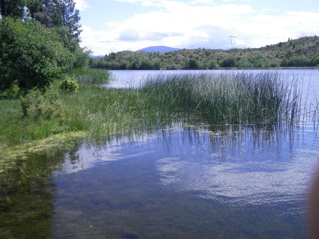 Madden Lake