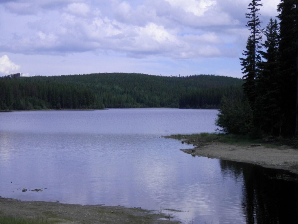 Moore (Bullman) Lake