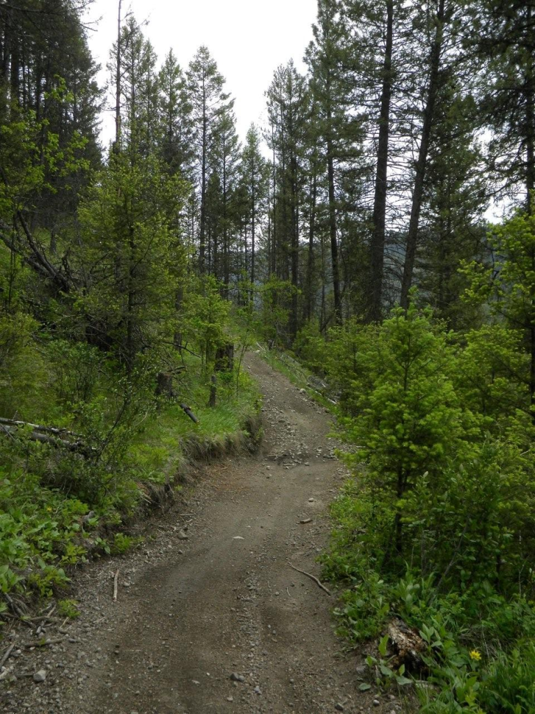 Bear Creek Trails - West Kelowna