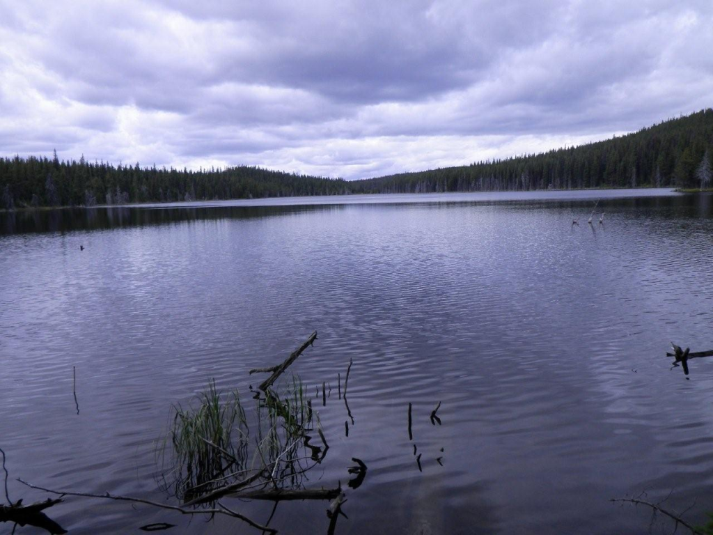 Brenda Lake