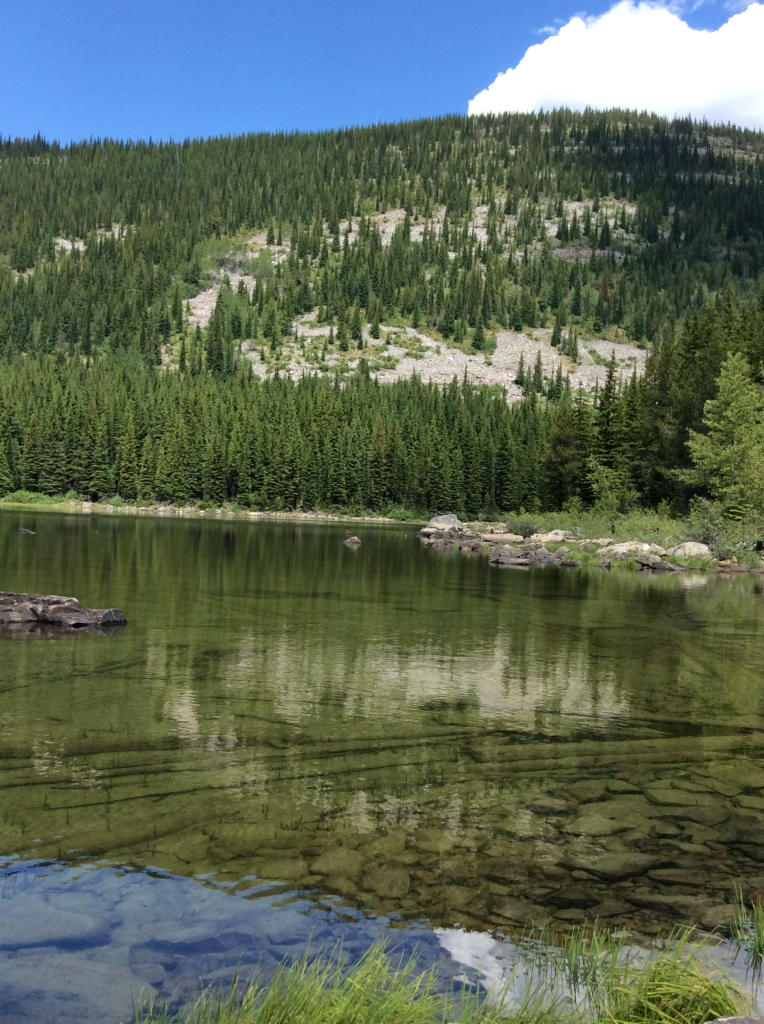 Cooper Lake Trail