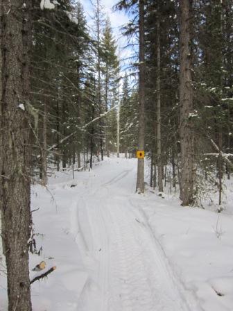Gold Rush Snowmobile Trail